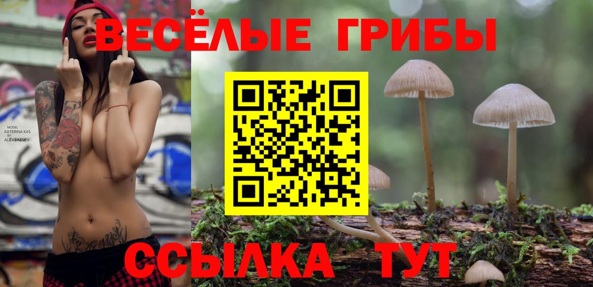 Галлюциногенные грибы MAGIC MUSHROOMS Казань